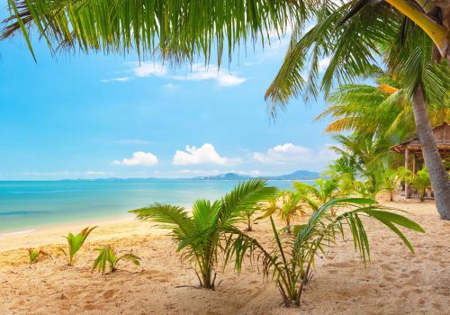 Beautiful Tropical Landscape Sand Sea Nature HD Wallpaper